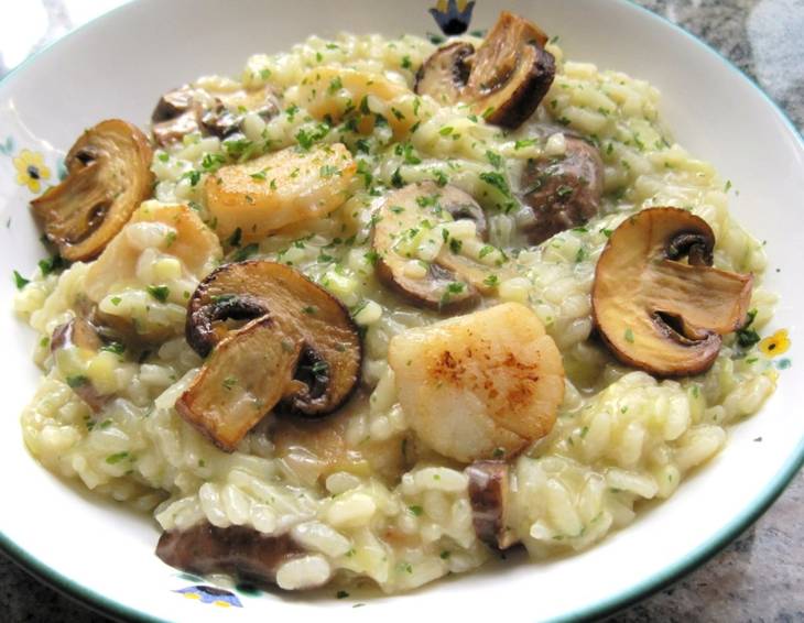 Risotto mit Jakobsmuscheln und Champignons Risotto mit Jakobsmuscheln und Champignons