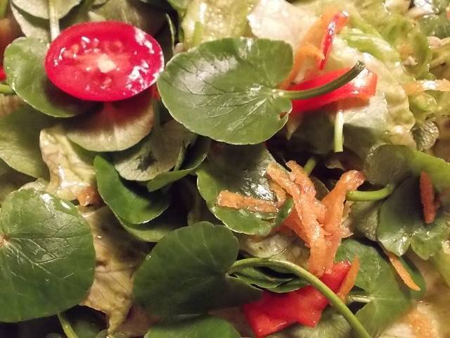 Salat mit Scharbockskraut-Blättern