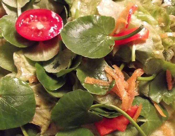 Salat mit Scharbockskraut-Blättern