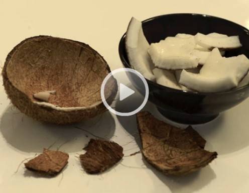 KokosnussEisen® - Tire-bouchon De Qualité Supérieure - | WhichOne