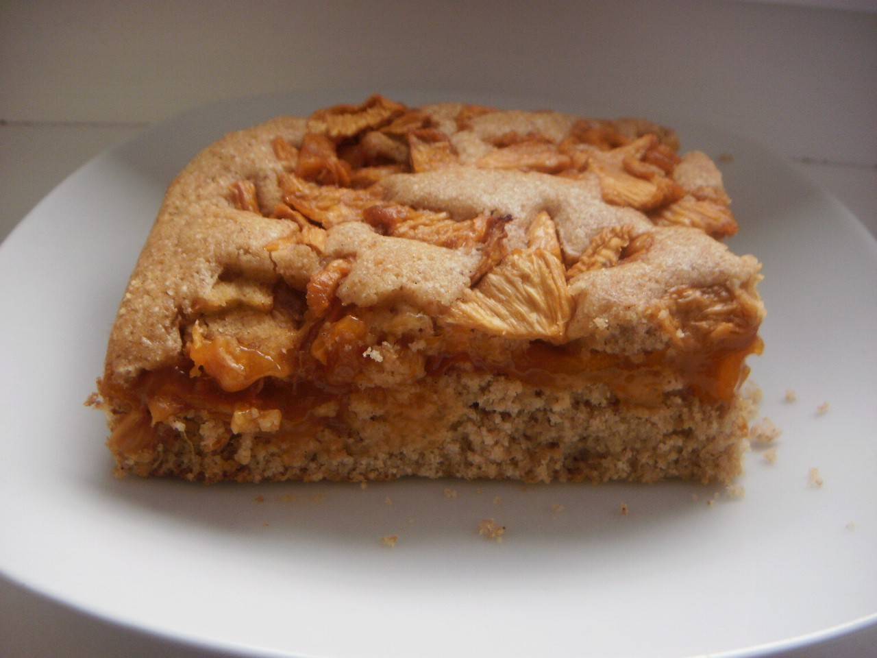 Grießkuchen mit Trockenfrüchten Rezept - ichkoche.ch