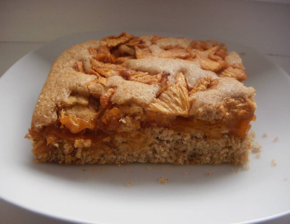 Grießkuchen mit Trockenfrüchten Grießkuchen mit Trockenfrüchten