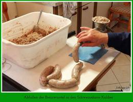 Schritt 5: Abfüllen der Breinwürstel un den Schweinsdarm Kaliber. Schritt 5: Abfüllen der Breinwürstel un den Schweinsdarm Kaliber.