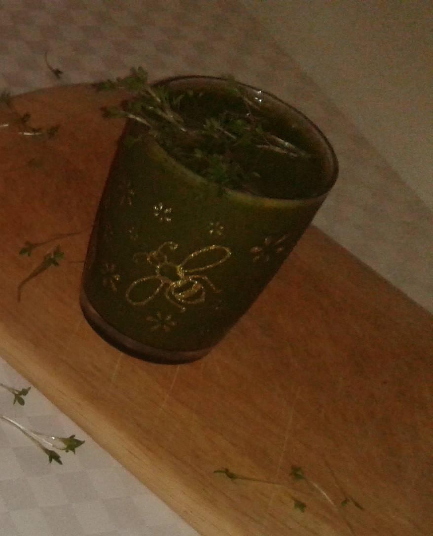 Grüner Bananen-Smoothie mit Kresse