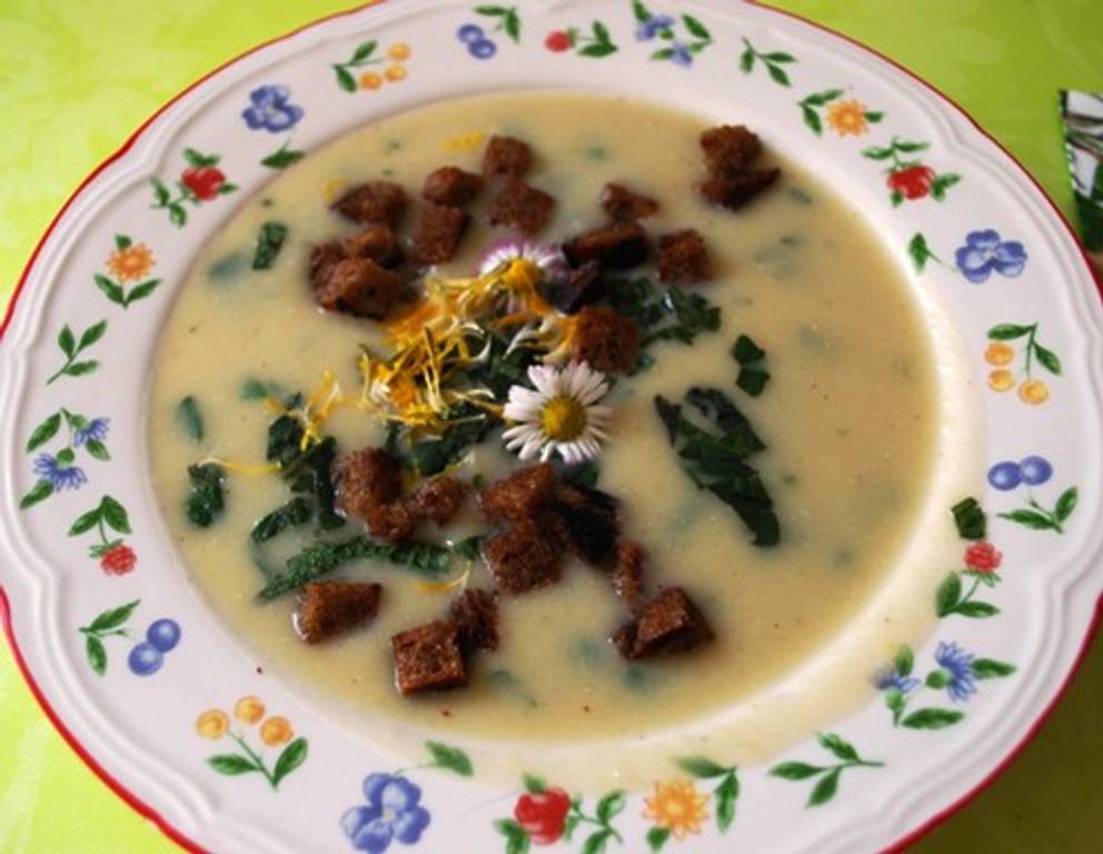 Wildkräutersuppe Wildkräutersuppe