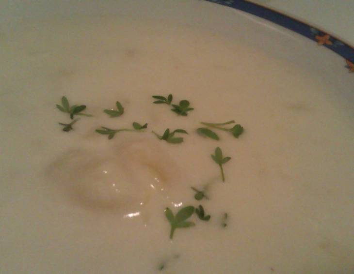 Omas Kartoffel-Rahm Suppe Omas Kartoffel-Rahm Suppe