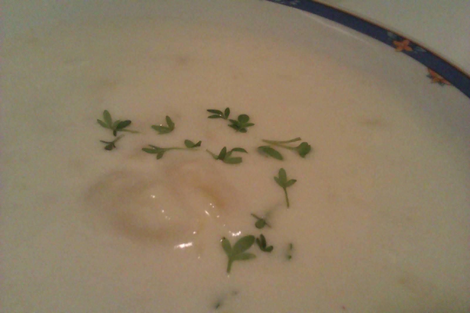 Omas Kartoffel-Rahm Suppe Rezept - ichkoche.de Omas Kartoffel-Rahm Suppe Rezept - ichkoche.de