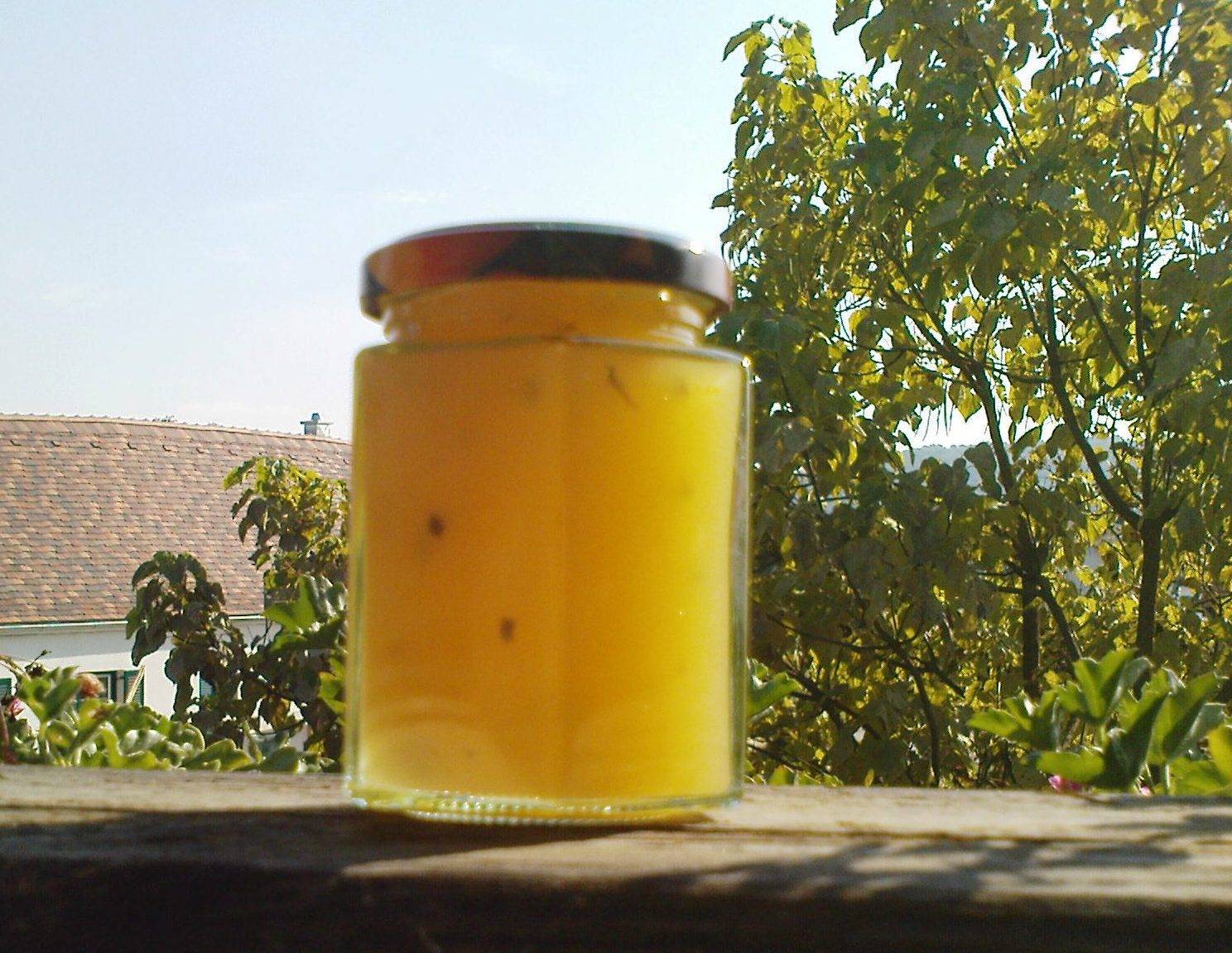 Apfelgelee mit Minze Rezept - ichkoche.ch