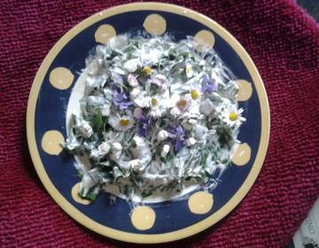 Bärlauchsalat Bärlauchsalat