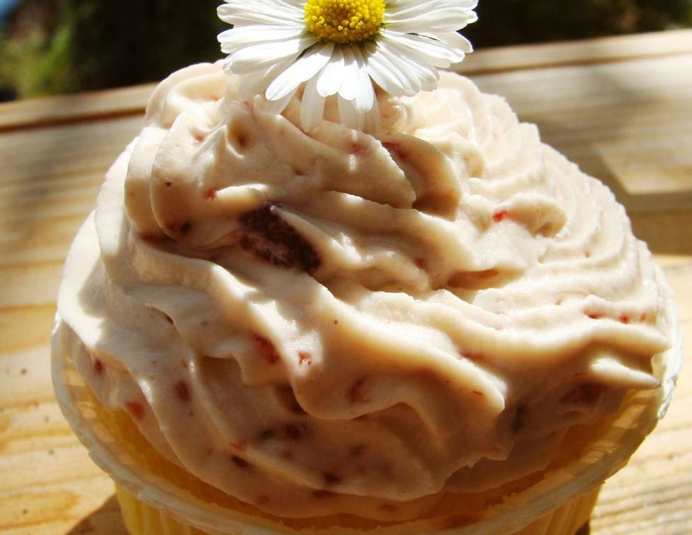 Zitronencupcakes Zitronencupcakes