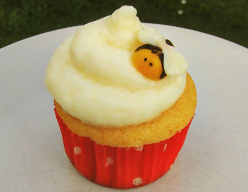 Honig Cupcake Honig Cupcake