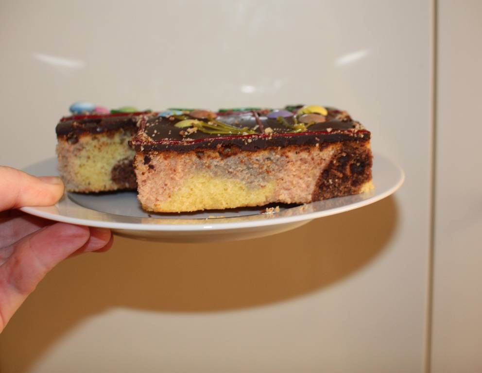 Papageikuchen Papageikuchen