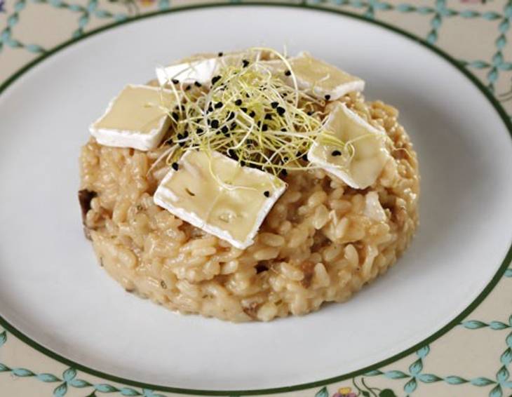 Steinpilz-Risotto mit Brie-Käse