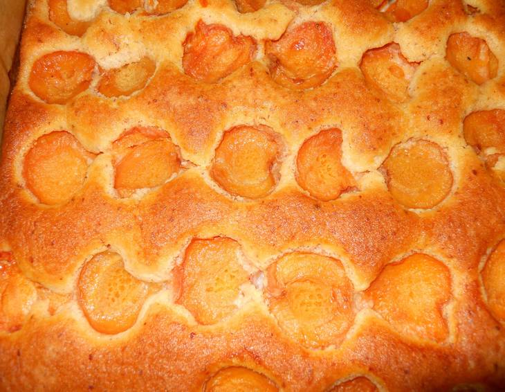 Marillenkuchen für Diabetiker