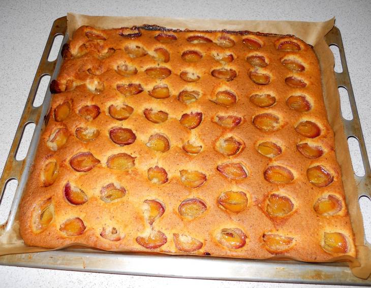 Zwetschkenkuchen vom Blech Zwetschkenkuchen vom Blech