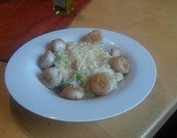 Spargelrisotto mit gebratenen Jakobsmuscheln