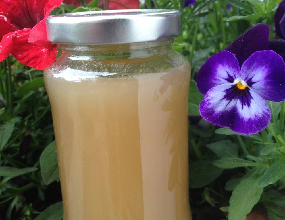 Falscher Tannenhonig Falscher Tannenhonig