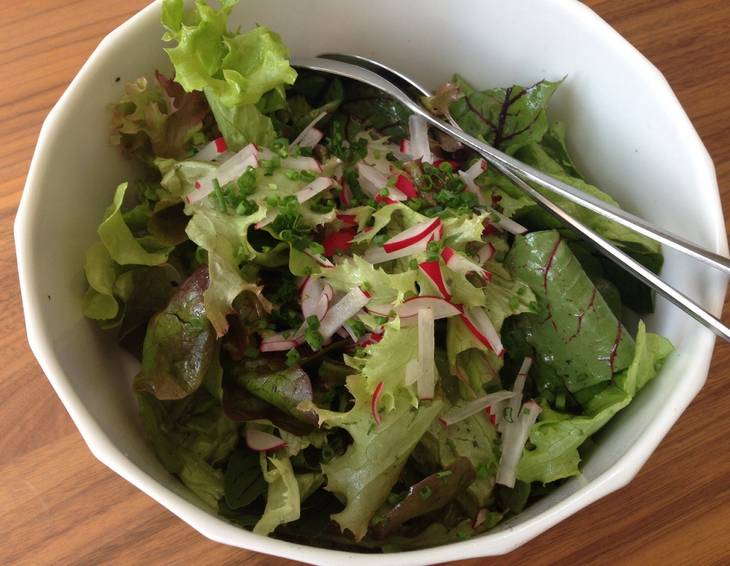 Gartensalat Gartensalat