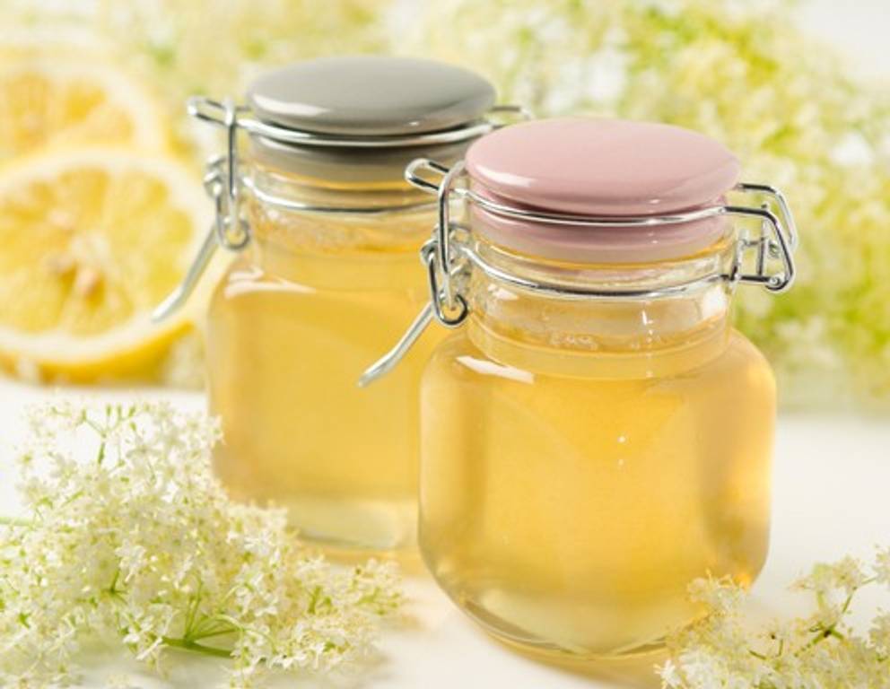 Holunderblüten-Gelee Holunderblüten-Gelee