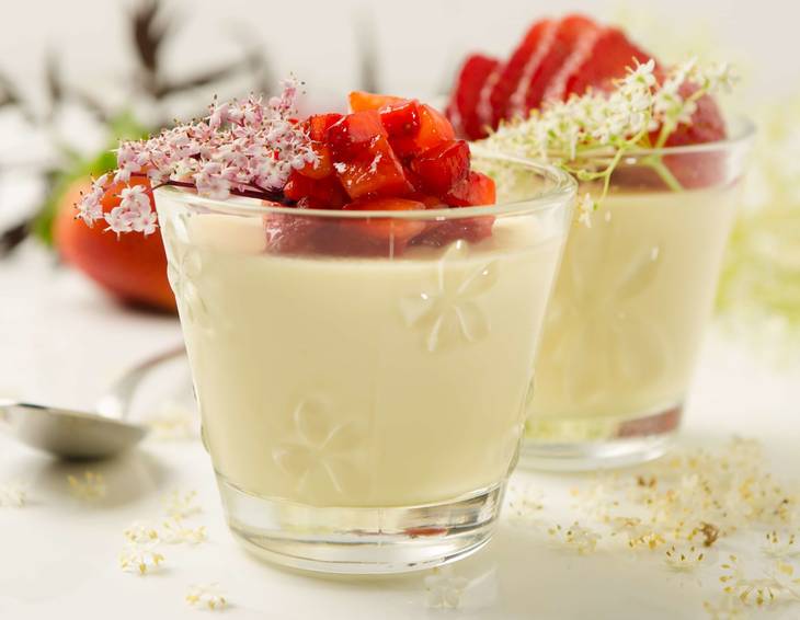 Holunderblüten Panna-Cotta Holunderblüten Panna-Cotta