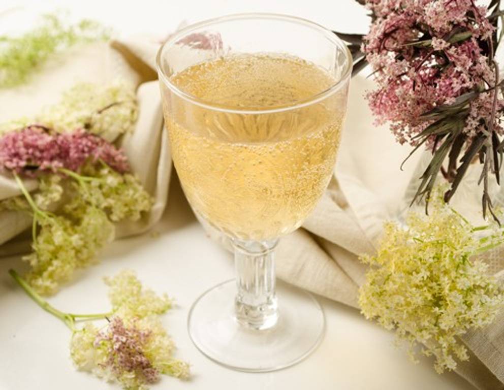 Holunderblütenwein Holunderblütenwein