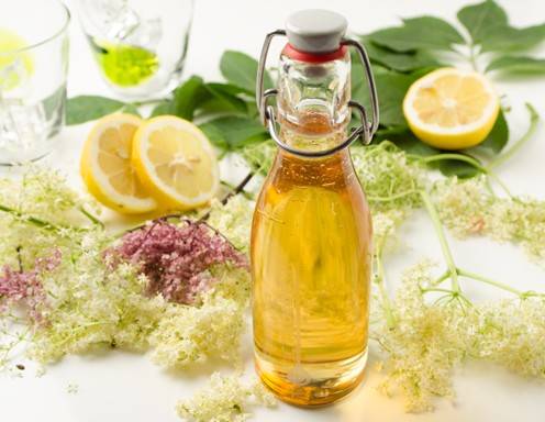 Hollerblüten-Durstlöscher Rezept