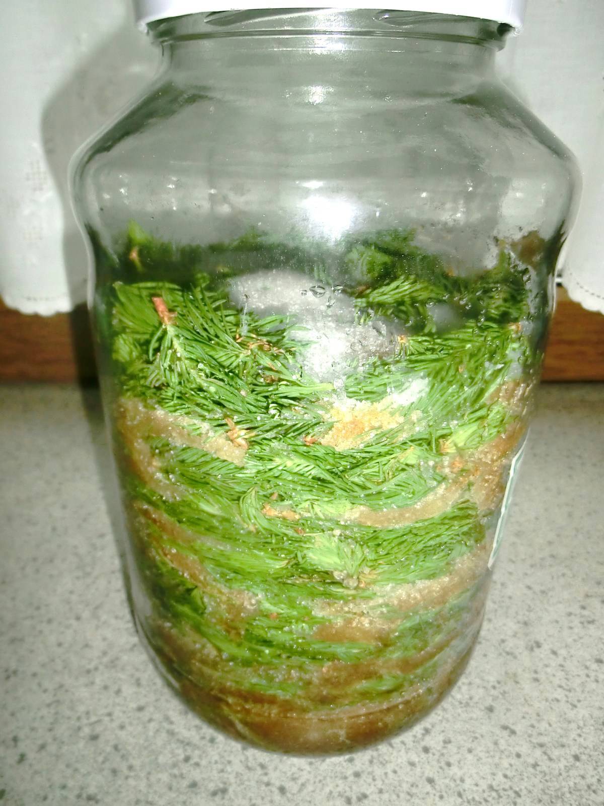 Wipferlsirup