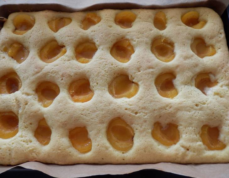 Saftiger Marillenkuchen Saftiger Marillenkuchen