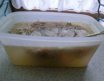 Holunder-Orangen-Sirup Holunder-Orangen-Sirup