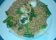 Jakobsmuscheln auf Dinkelrisotto mit Spargel Jakobsmuscheln auf Dinkelrisotto mit Spargel