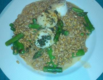 Jakobsmuscheln auf Dinkelrisotto mit Spargel Jakobsmuscheln auf Dinkelrisotto mit Spargel