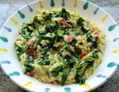 Die besten Mangold Rezepte unserer User Sie sehen dieses Bild nicht? Klicken Sie mit der rechten Maustaste darauf und wählen Sie „Bilder herunterladen.“