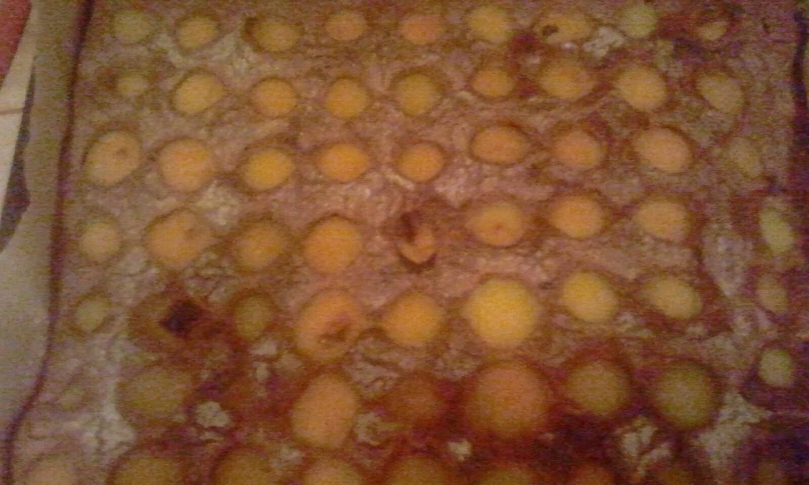 Marillenkuchen vom Blech
