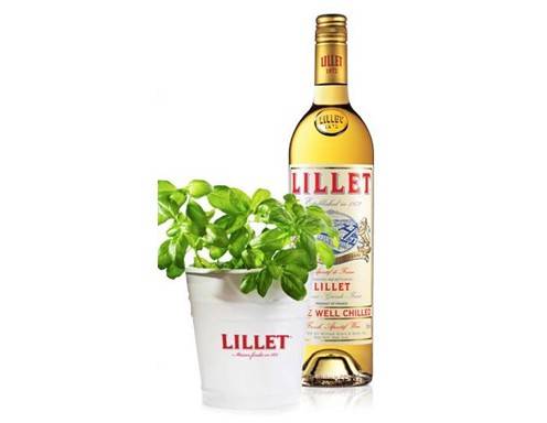 Lillet Rani