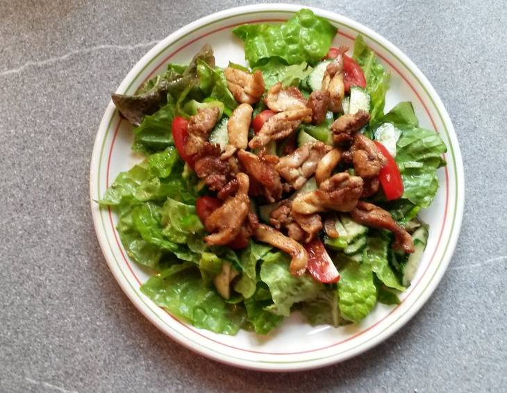 Gebratene Hühnerstreifen auf buntem Salat