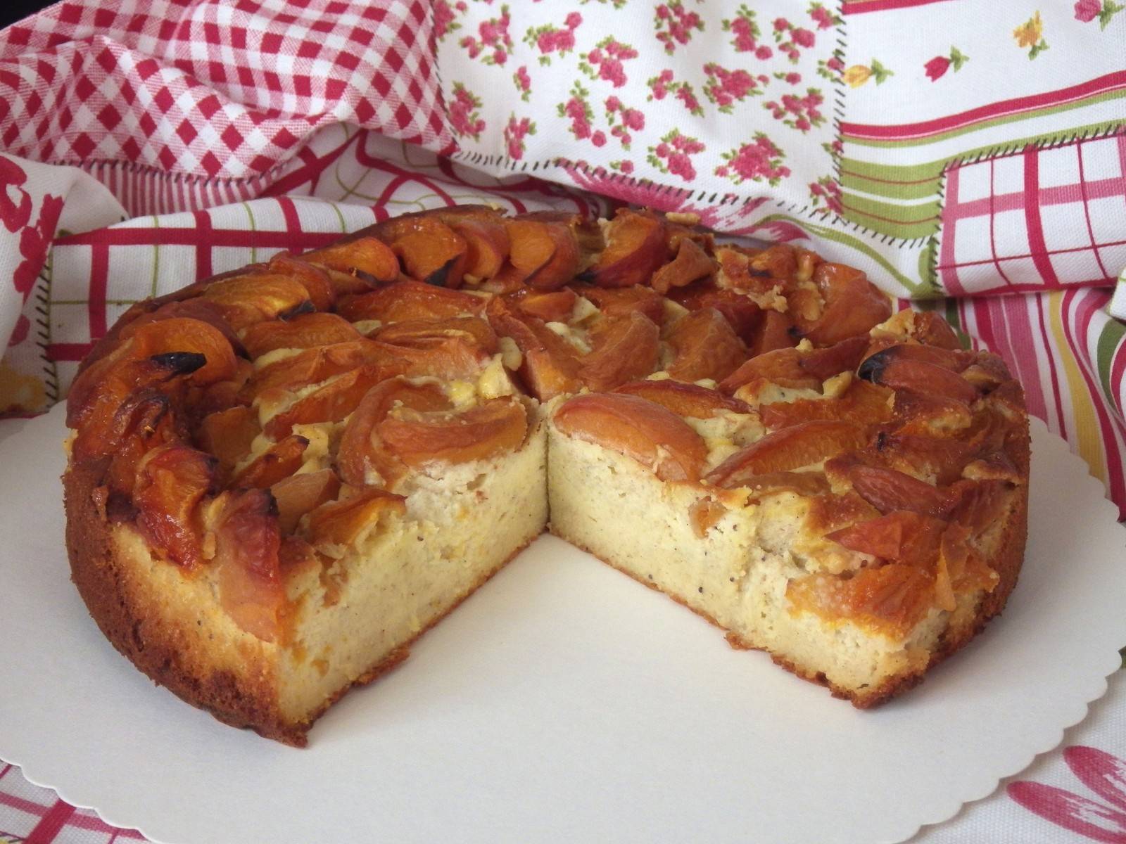 Topfen-Mohn-Torte mit Marillen Rezept - ichkoche.de