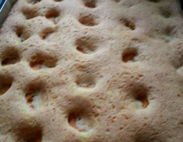 Marillenkuchen Marillenkuchen