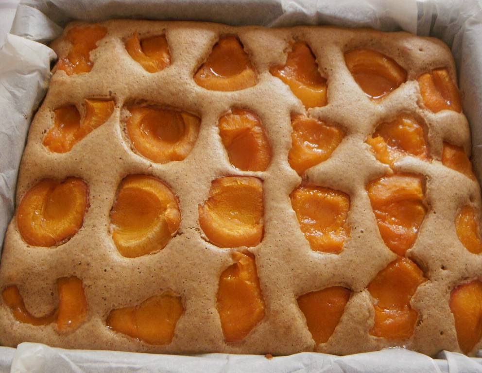 Marillenkuchen aus Dinkelvollkornmehl und Braunhirse Marillenkuchen aus Dinkelvollkornmehl und Braunhirse