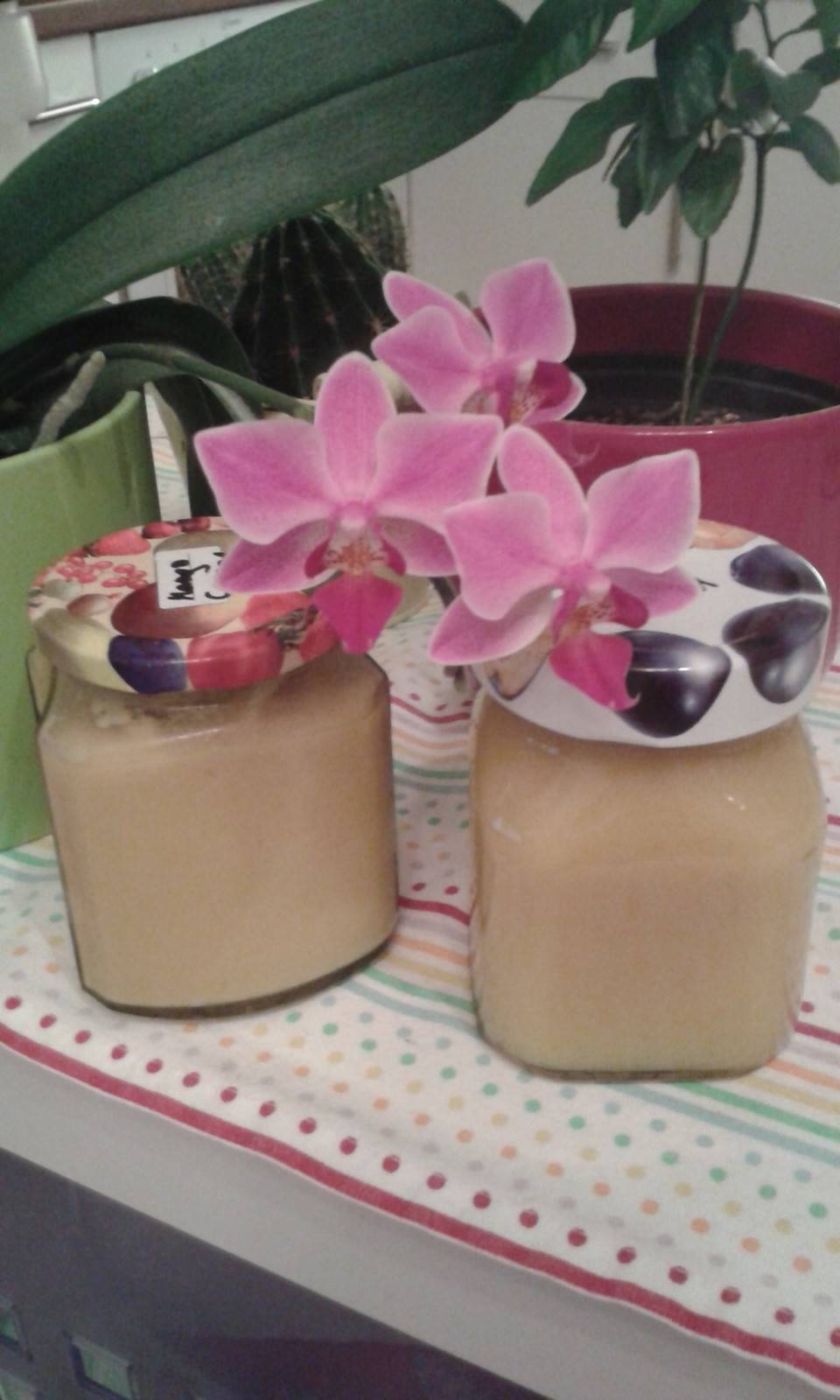 Mango-Kokos-Marmelade