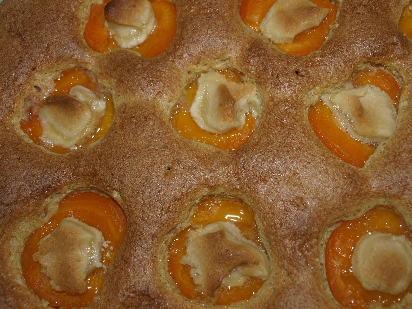 Dinkelvollkorn-Marillenkuchen mit Marzipan
