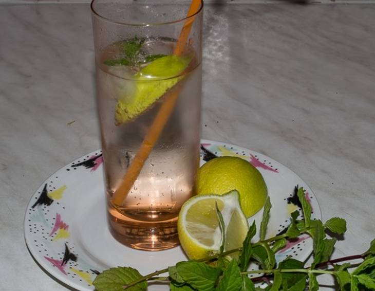 Zitronenmelissen-Minzsirup Zitronenmelissen-Minzsirup