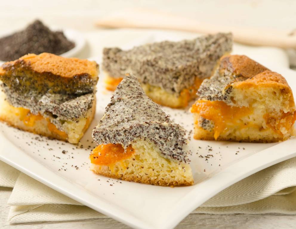 Marillen-Mohn-Kuchen Marillen-Mohn-Kuchen