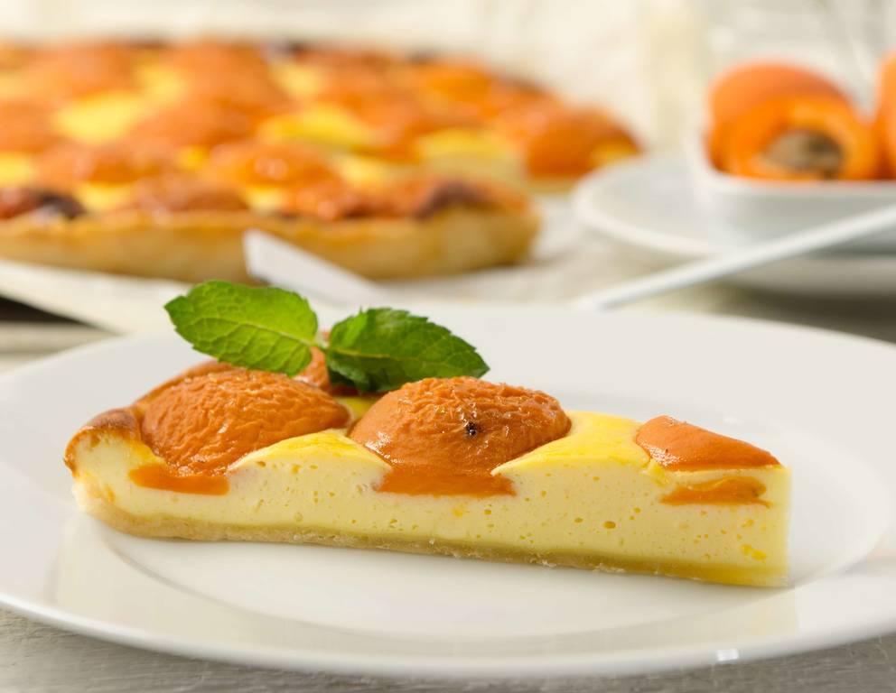 Marillen-Topfenkuchen Marillen-Topfenkuchen