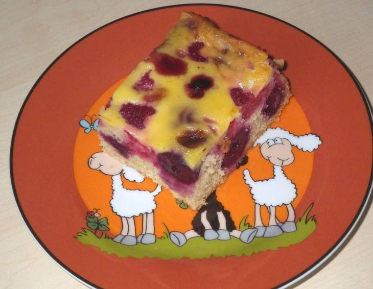 Marillenkuchen mit Guss