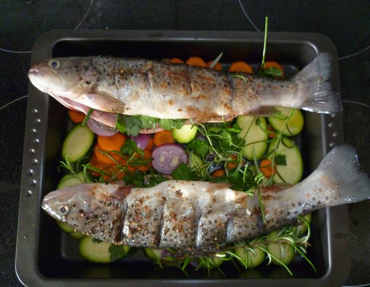 Saibling Fish Die besten Saibling Rezepte - ichkoche.de