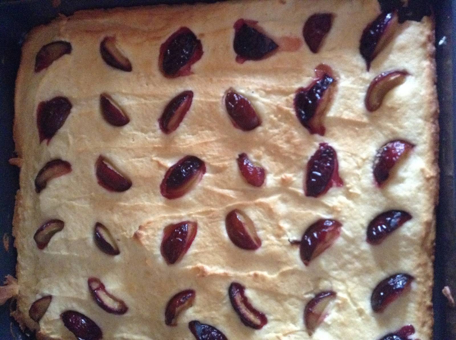 Herbstlicher Blechkuchen mit Zwetschken