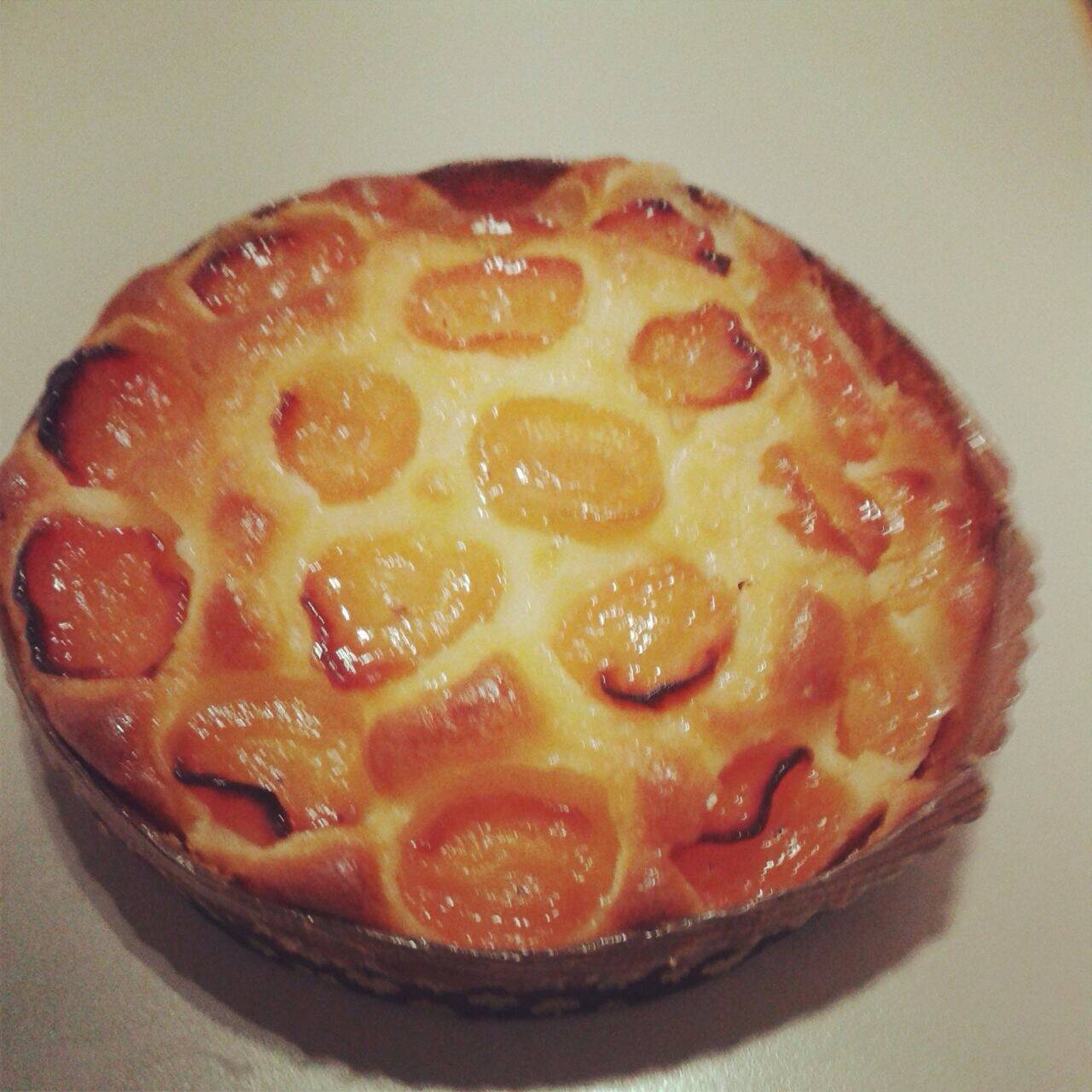 Marillenkuchen Rezept - ichkoche.de