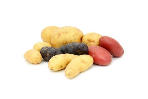 Erdäpfel / Kartoffel