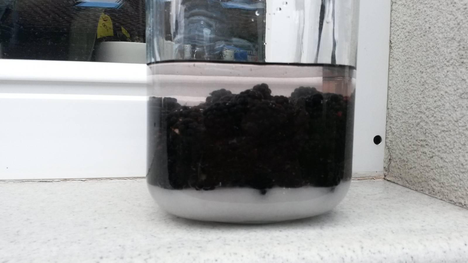 Brombeerlikör Rezept - ichkoche.ch