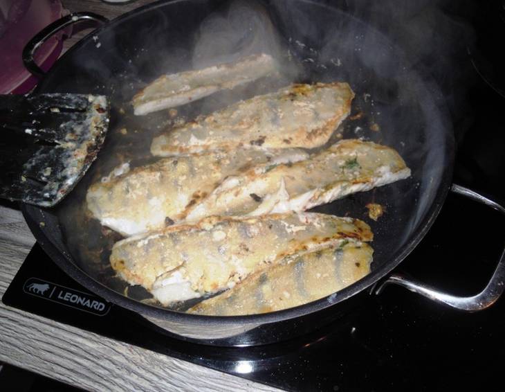 Zanderfilet auf Karotten-Nuss-Blattsalat Zanderfilet auf Karotten-Nuss-Blattsalat